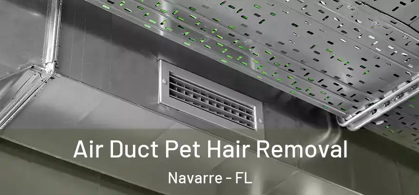 Air Duct Pet Hair Removal Navarre - FL