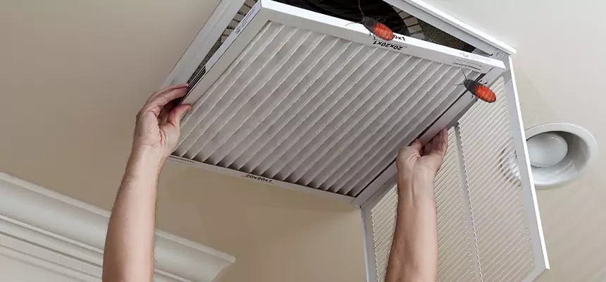 Preventive Cockroach-Proofing for Ducts in Navarre