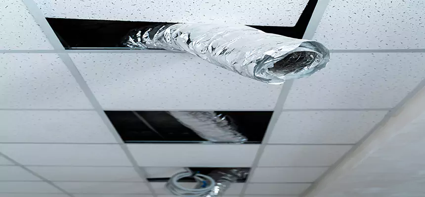 Affordable HVAC Sanitizing After Pest Removal in Navarre