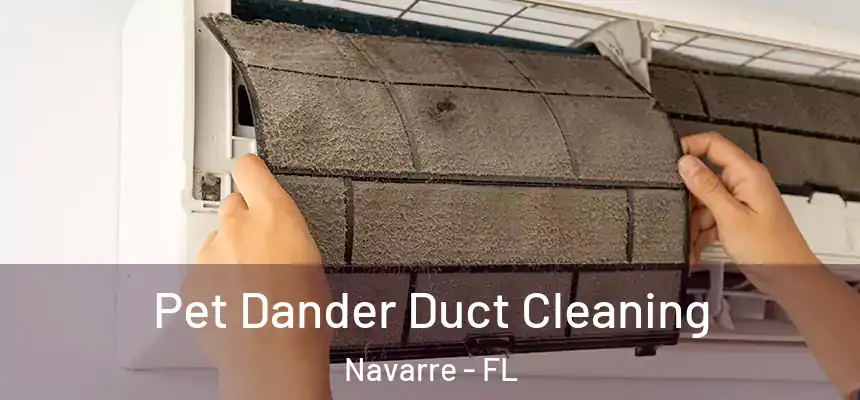 Pet Dander Duct Cleaning Navarre - FL