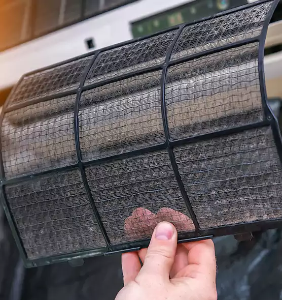 About Pet Dander Duct Cleaning in Navarre, FL
